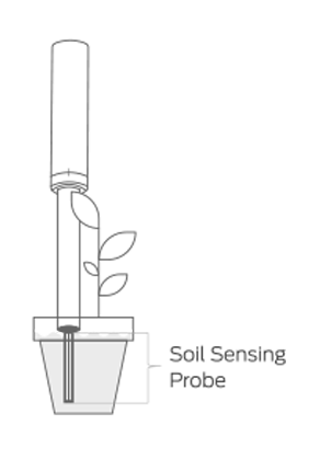 ../../../_images/soilquality-in-pot.png